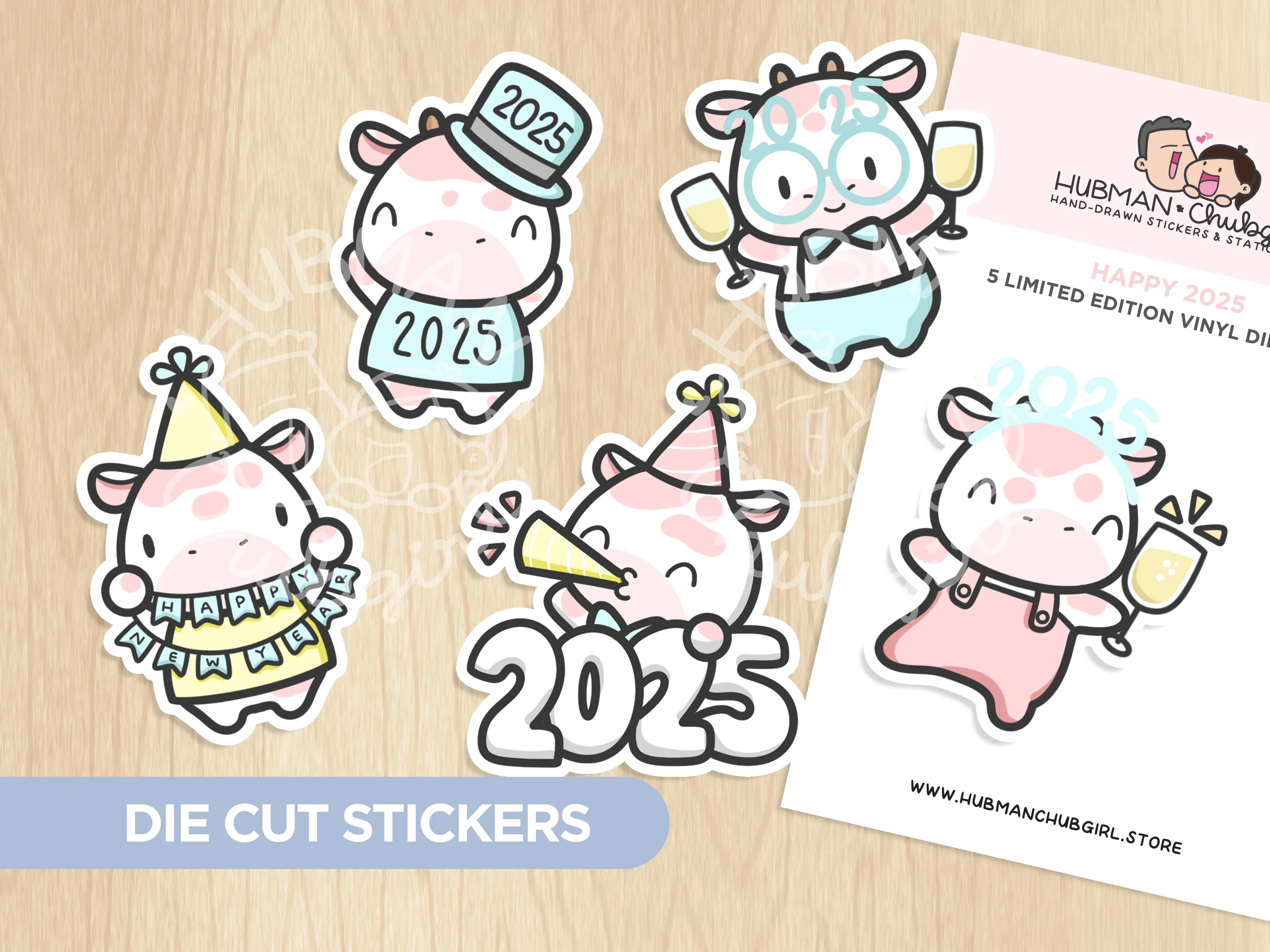 Hello 2025 Sticker Set