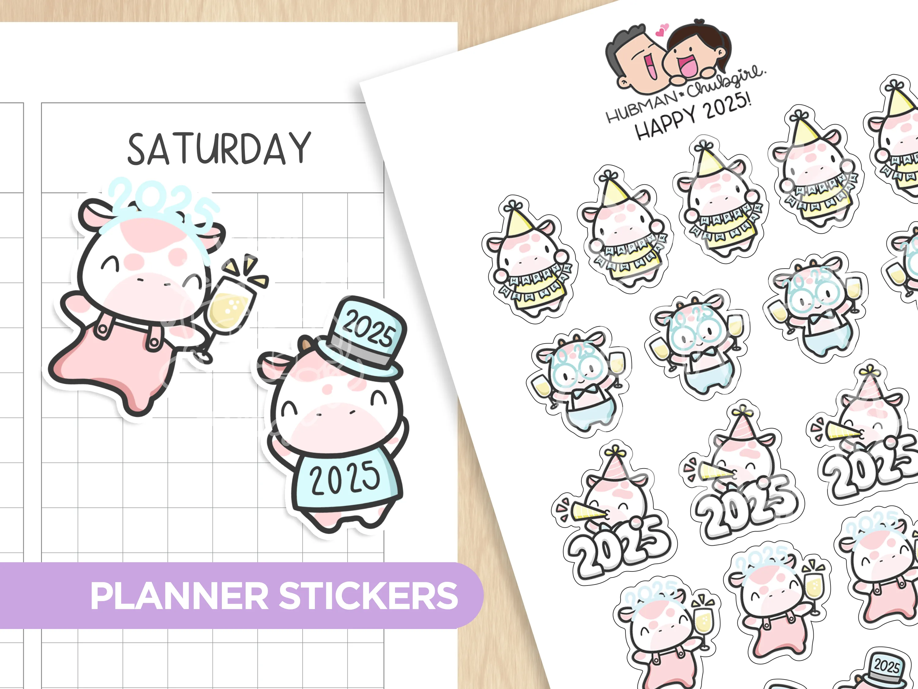 Hello 2025 Sticker Set