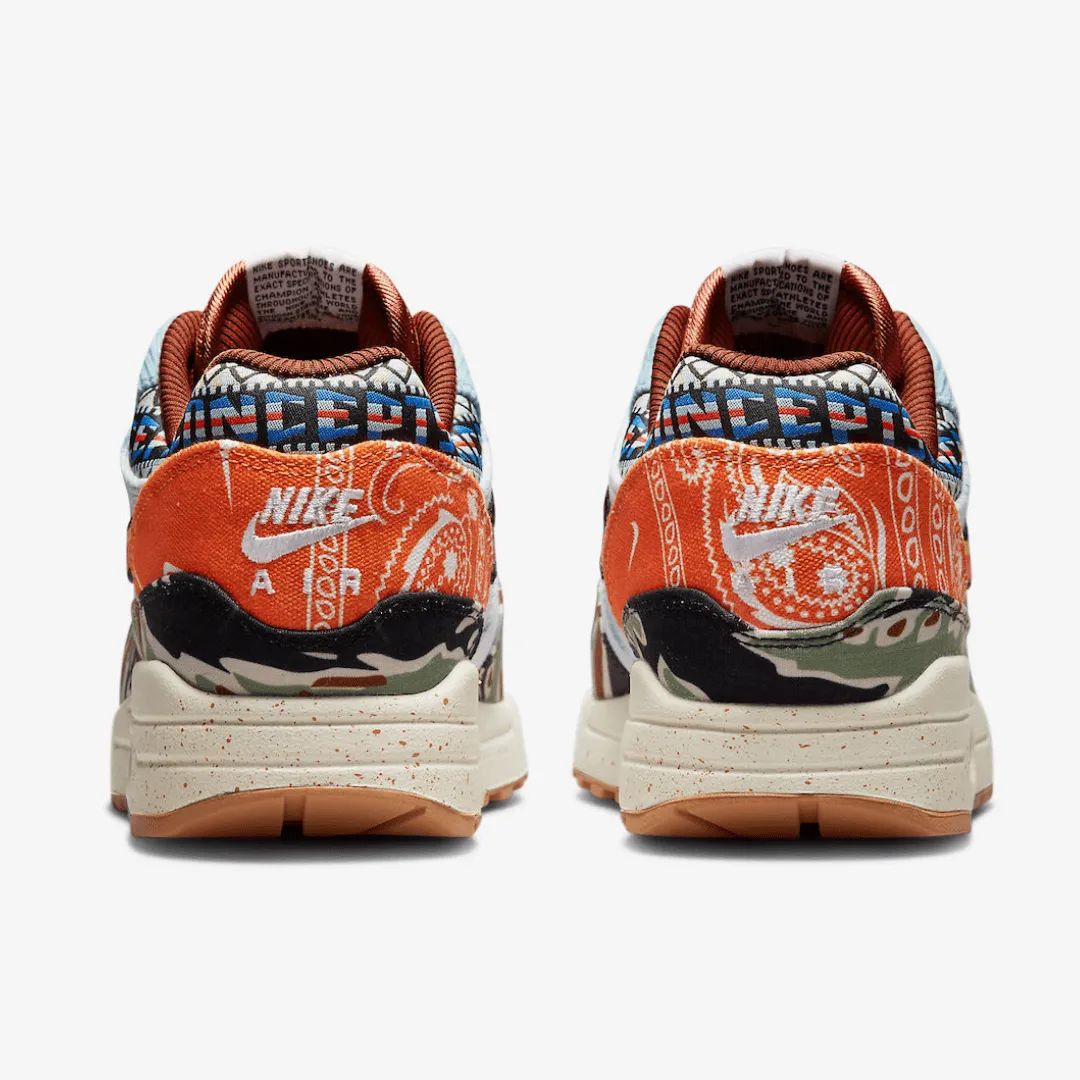 Nike Air Max 1 SP Concepts Heavy