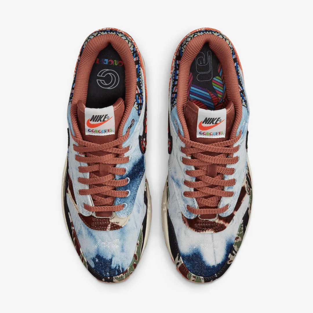 Nike Air Max 1 SP Concepts Heavy