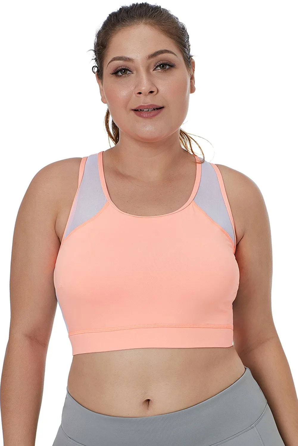 Sheer Mesh Plus Size Sports Bra
